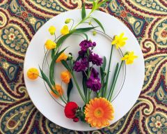 Tapeta Nature Flowers 675.jpg